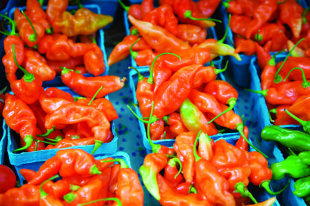 Heatless Habaneros Image
